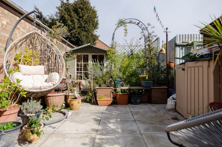 backyard