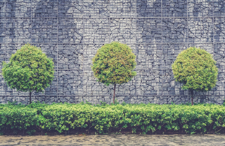 Creative Landscaping Ideas to Revitalize Your Outdoor Space